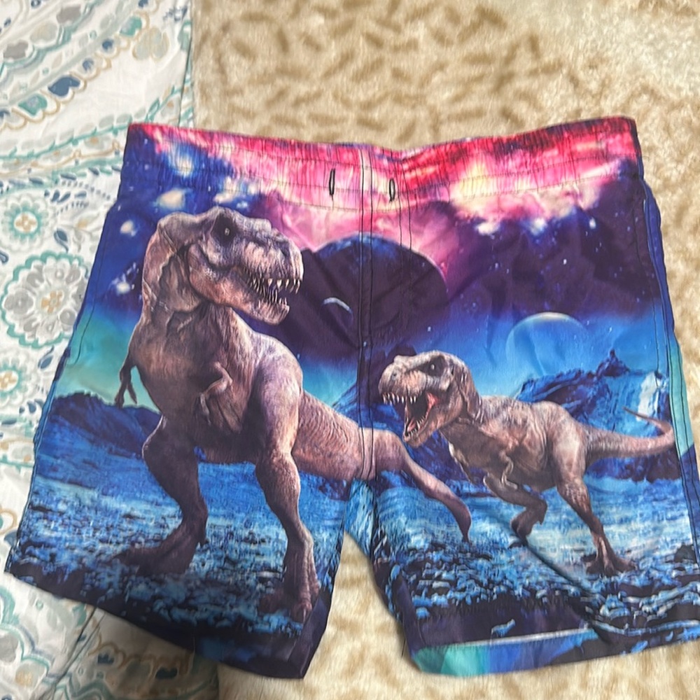 Boy Size 6T swim pants